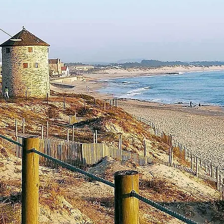 Estrela De Aver O Mar