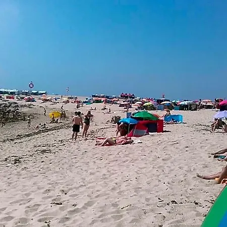 Estrela De Aver O Mar