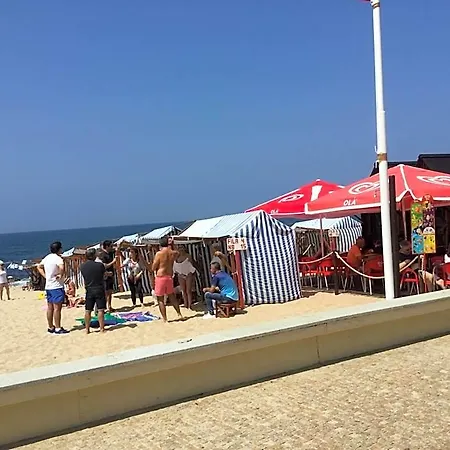 Apartmán Estrela De Aver O Mar *