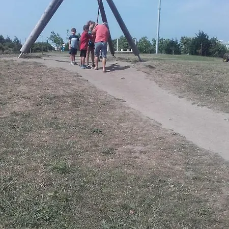 Estrela De Aver O Mar *