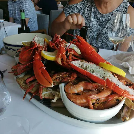 Estrela De Aver O Mar