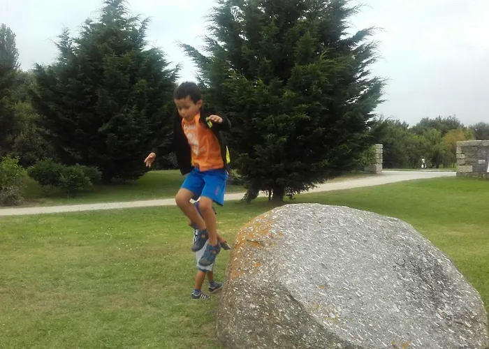 Estrela De Aver O Mar *