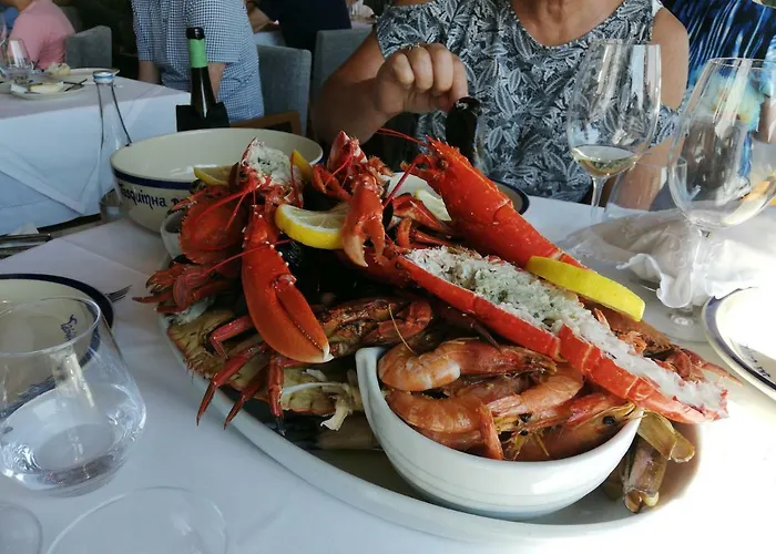 Estrela De Aver O Mar